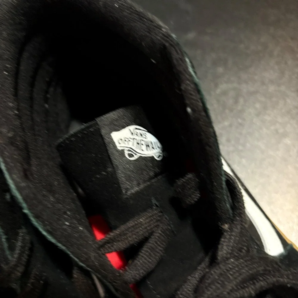 Vans skate sk8